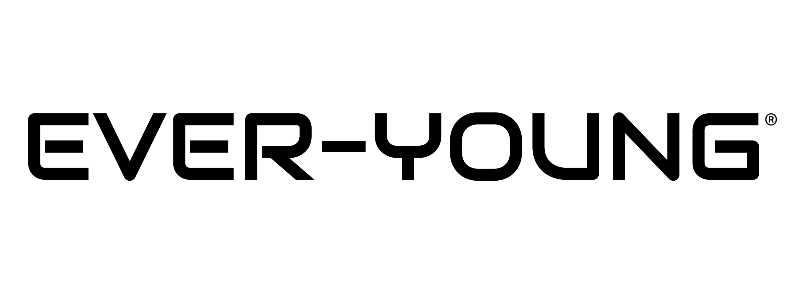 永 東 科 技 EVER-YOUNG